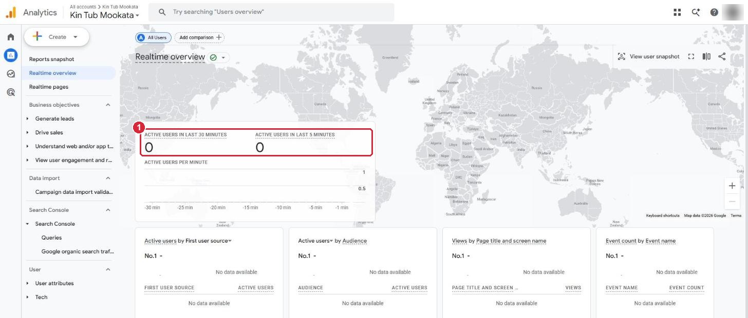 The Realtime overview report with active users marked