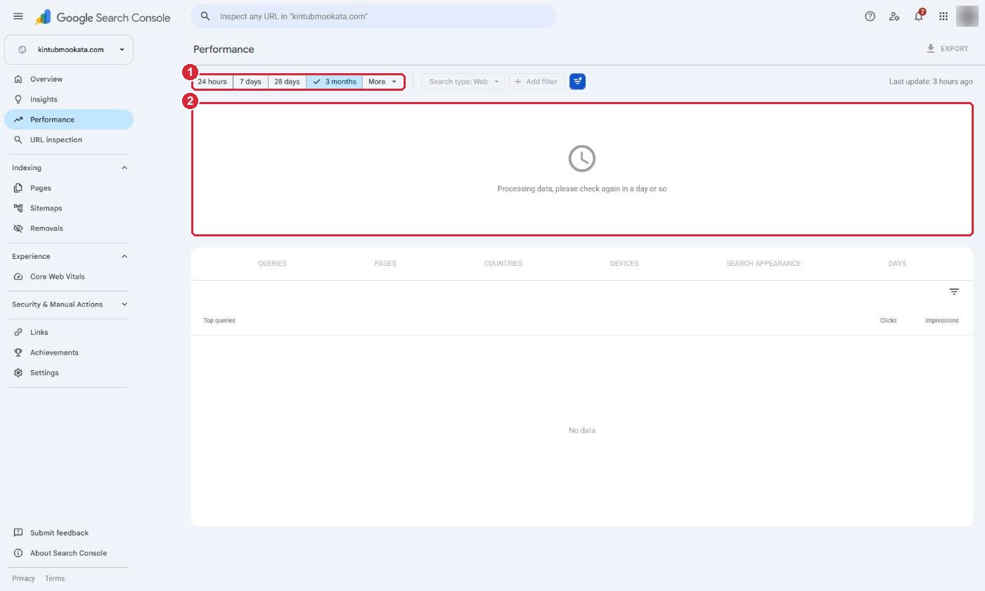 The Performance page of Search Console, saying it is still processing data