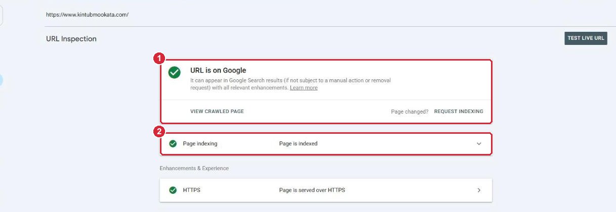 The URL inspection result for the home page saying URL is on Google